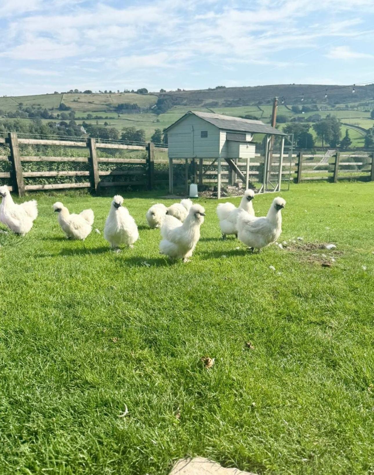 Bents Holiday Cottage Oxenhope Ngoại thất bức ảnh